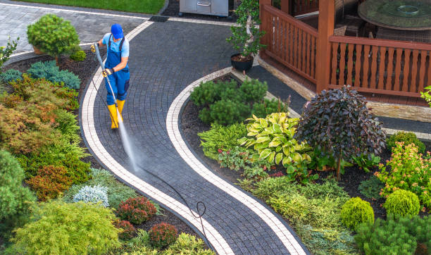 Best House Pressure Washing  in Earlimart, CA